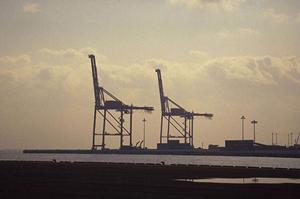 住宅の快適性と省エネにこだわる男性必見！山形で遮熱材と断熱材を提供する信頼できる業者を徹底解説