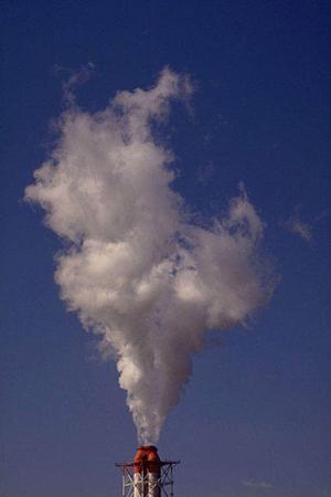 設置場所に合ったサイズのフラワーキーパーを制作